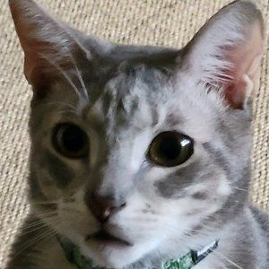 Meet your Posher, Jaeyong